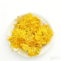 Chrysanthème Doré Séché 100% Naturel - Sachets de Tisane Premium (20g*50 fleurs) pour le Soutien Antioxydant et le Bien-être Quotidien