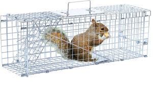 Insancıl tuzak kafesi ağır katlanır rakun tuzaklar kaçak kapaklar için canlı hayvan tuzağı tuzak kafesi, sincap, tavşan - Product Image 5