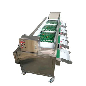 Tự động cà chua chanh Trái Cây Rau SORTER Olive đào phân loại Máy khoai tây chấm điểm máy - Product Image 5