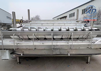 High-Output Weeg-En Verpakkingsmachine Voor De Sorteermachine Van Bosbessenkersen Tomaat Voor Fruitproducenten