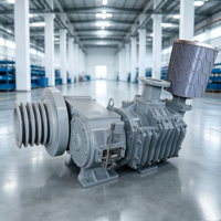 Compresor de Aire Portátil Bohai de un Solo Cilindro, sin Aceite, de 37kw, con Bomba de Alta Eficiencia, Tanque de Cemento Refrigerado por Aire con Capacidad de 12.5m