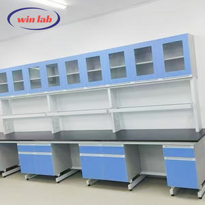 Mesa de Trabajo de Laboratorio Moderna con Marco en C de Acero con Gabinete de Almacenamiento para Uso en Incubadoras en Escuelas y Hospitales, Equipo de Laboratorio Económico - Product Image 3