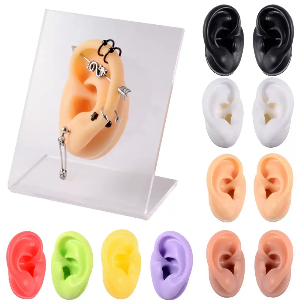 Support B (pour oreilles ovales)