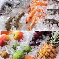Machine à glaçons granulaire à mâcher 70kg/24H faisant l'utilisation commerciale de machine de pépite de poisson
