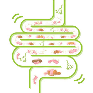Kautabletten für Verdauungsgesundheit und Immununterstützung, Sichere Schnelle Absorption, Nahrungsergänzungsmittel für Katzen und Hunde Aller Rassen und Lebensphasen - Product Image 6