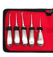 Ensemble d'Élévateurs Radiculaires Dentaires Électriques à Bas Prix de 10 Pièces, Instruments Chirurgicaux pour l'Extraction Dentaire et l'Élévation Radiculaire