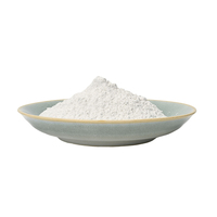 Prix le moins cher de qualité industrielle Carbonate de calcium nano haut de gamme, poudre de pierre de chaux