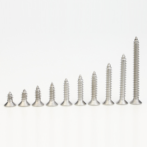 1000 piezas/bolsa Tornillos pequeños autorroscantes de cabeza plana cruzada de acero al carbono cincado M1 M1.2 M1.7 M2 M2.3 M2.6 M3 M3.5 M4 M5 - Product Image 5