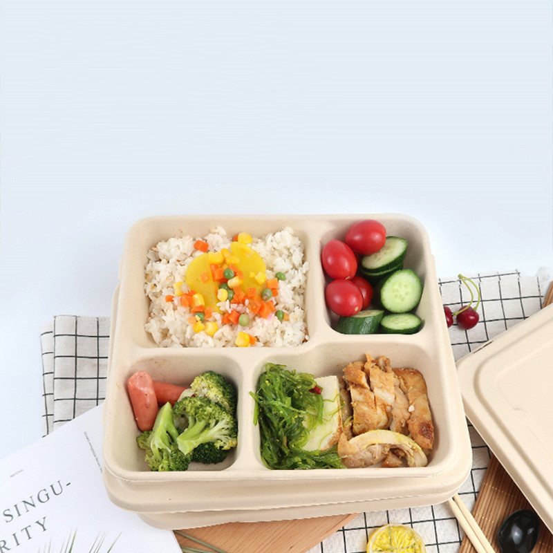 Biodegradable disposable food clamshell/3 5 compartments food box/tray