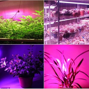 หลอดไฟ LED สำหรับปลูกพืช PAR38พร้อมแผงระบายความร้อน1W/24W 12x แสงสำหรับพืชอวบน้ำต้นกล้าหรี่แสงได้ - Product Image 6