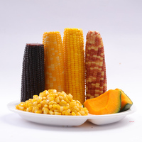 Maíz amarillo de la mejor calidad, aperitivos chinos, maíz amarillo