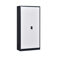Armoire de classement en acier à 2 portes avec serrures, armoire de rangement pour bureau, armoire métallique