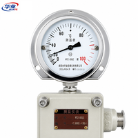 Termometer Kapiler Sinyal Jarak Jauh 0-200C 4-20mA Penggunaan Industri OEM ODM IP66 Suhu Tinggi Panjang Probe Dapat Disesuaikan