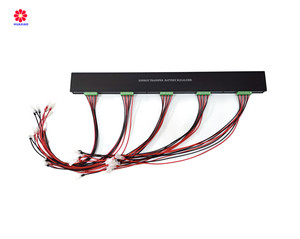 Equilibrador de Baterías HUAXIAO 20S 240V para Todo Tipo de Baterías de Iones de Litio, Sistemas de Gestión de Baterías (BMS) - Product Image 3