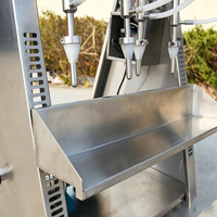 Mini machine de remplissage semi-automatique à double tête en acier inoxydable pour vin, boissons, jus, produits chimiques et emballages en verre/plastique