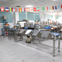 Hoge snelheid precisie automatische sorteer- en sorteermachine voor groenten en fruit met gewichtscontrole