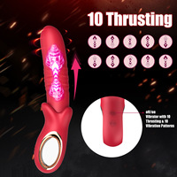 Vibromasseur 2-en-1, 10 modes, masseur du point G, jouet sexuel rechargeable pour femmes et couples