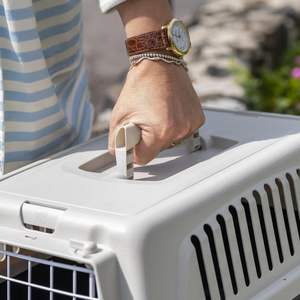 Vente en gros de boîtes de transport pour animaux de compagnie de luxe, nouvelle conception, approuvées par les compagnies aériennes, boîtes de transport pour chiens en plastique personnalisées pour les voyages - Product Image 2