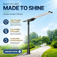 Lampadaires solaires mono-crystallins 100 Watts, haute efficacité, batterie LiFePO4, étanchéité IP66, personnalisables en usine
