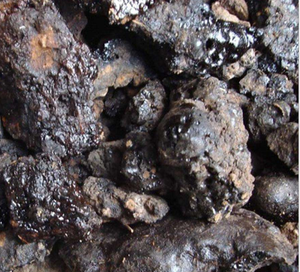 Healthway Natürliches Pulver Shilajit-Extrakt 40% Fulvinsäure Shilajit-Tabletten - Product Image 2