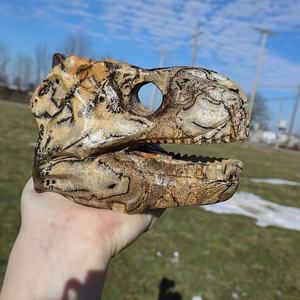 Venta al por Mayor de Figuras de Cráneos de Dinosaurio de Piedra Natural Pintada a Mano, 5.8cm, Artesanía Feng Shui de Alta Calidad para el Hogar - Product Image 3