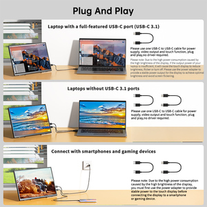 ODM/OEM 12.3 Inch Hiển Thị Siêu Mỏng Xách Tay Màn Hình 1080P FHD <span class=keywords><strong>USB</strong></span> C HD-MI Màn Hình Di Động - Product Image 3