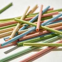 Pailles droites personnalisées en PLA compostable, biodégradables, durables, accessoires de bar jetables, pailles en papier recyclé