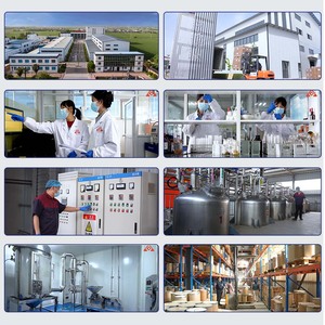 Ghk-cu Đồng Peptide cho tóc mọc lại ghk-cu Peptide ghk-cu bột ghk-cu Đồng Peptide ghk-cu - Product Image 5