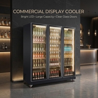 Réfrigérateur de présentation de boissons à double porte vitrée pour petites entreprises et startups – Marque privée