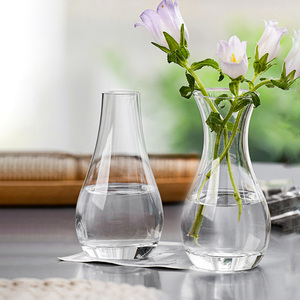 <span class=keywords><strong>Vase</strong></span> <span class=keywords><strong>en</strong></span> <span class=keywords><strong>verre</strong></span> de style nordique, décoration <span class=keywords><strong>pour</strong></span> la maison, minimaliste, petite paillettes, bourgeon de <span class=keywords><strong>jacinthe</strong></span> - Product Image 6
