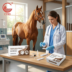 Kit <span class=keywords><strong>de</strong></span> test rapide d'anticorps pour la maladie <span class=keywords><strong>de</strong></span> Lyme équine pour le dépistage <span class=keywords><strong>de</strong></span> la Borrelia transmise par les tiques chez le cheval, OEM/ODM, vente en gros, 1 ou 25 tests - Product Image 5