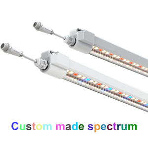 Tube LED de culture Figolite T5 Lm301h Evo 2ft 4pcs/set 48W pour la croissance des légumes, de la laitue et du chou - Product Image 5