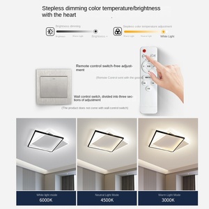 Luz de techo LED nórdica, lámpara de interior acrílica contemporánea para pasillos de casa, luz de pasillo decorativa montada a distancia - Product Image 5