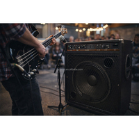 Amplificateur de basse professionnel Gooermi BS500U 250W avec haut-parleur de 15 pouces
