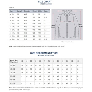 Chemise Oxford Décontractée 100 % Coton pour Homme Col Montant Manches Longues Brodée Automne Été Tissée Stock Vente en Gros Dropshipping - Product Image 2