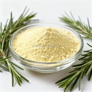 Halal HACCP 20% Extracto de Romero de grado alimenticio soluble en agua Polvo de ácido carnósico para alimentos para mascotas Cuidado bucal Planta Origen Botella/Tambor - Product Image 2