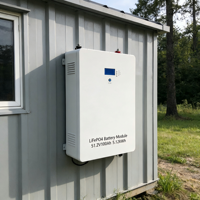 Módulo de Batería LiFePO4 de 5.12KWh 51.2V 300Ah para Montaje en Pared, para Sistema de Almacenamiento de Energía Solar Doméstico, BMS, 2000 Ciclos, 0.5-43C