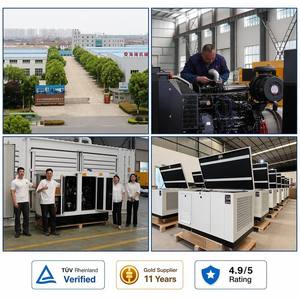 Générateur domestique de secours industriel 15 kW au gaz naturel/GPL, à service continu, refroidi, conforme EPA ETL, en cuivre, faible bruit, 60 Hz - Product Image 3