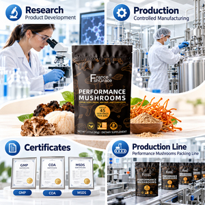 Compléments alimentaires à base de champignons pour la performance, soutenant la santé et l'énergie, poudre de champignons pour la performance à base de plantes - Product Image 4
