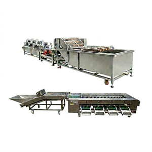 Cleaning Air Bubble Strawberry Quality New Top <b>Tomato</b>/Strawberry Blueberry Washing and Sorting Machine for Farms - Product Image 1
