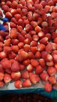 Échantillon gratuit nouvelle saison fraises congelées IQF en vrac pour la vente en gros et au détail