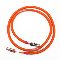 Harness Kabel HV EV 2-Core 1000V DC yang Dapat Disesuaikan dengan Perakitan Kabel HVIL Berperingkat IP67 untuk Kendaraan Energi Baru