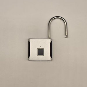 कस्टम व्यावहारिक स्मार्ट फिंगरप्रिंट पैडलॉक पोर्टेबल सेल्फ-सर्विस स्टोरेज सुरक्षा एंटी-चोरी फिंगरप्रिंट लॉक - Product Image 1