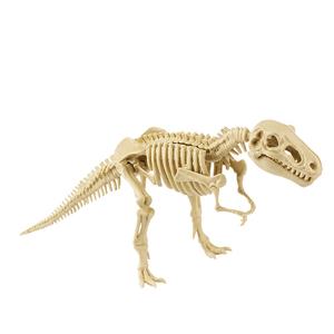 Kit de squelette d'assemblage de bricolage pour enfants-petit <span class=keywords><strong>dinosaure</strong></span> artisanal pour la simulation d'artisanat éducatif du collège élémentaire - Product Image 5