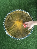 Piège à poissons en HDPE de haute qualité, entonnoir d'entrée en plastique, cage à poulpes pour la pêche aux crevettes en Corée du Sud, filet de pêche en aquaculture