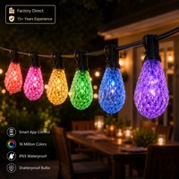 Luces Inteligentes para Bistro, Cadena de Luces RGBIC con Bombillas Resistentes a los Golpes para Cafetería, Restaurante, Jardín, Patio, Proyectos de Iluminación