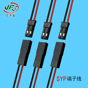 Jst Syp 2P Extension Cable 2.54mm DuPont Wire For Ev Connectors - Product Image 2