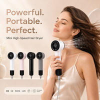 Meilleur sèche-cheveux et lisseur 2 en 1, diffuseur pour cheveux bouclés, sèche-cheveux professionnel de salon, design compact mini, sèche-cheveux ionique