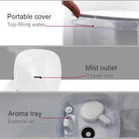 Humidificateur portable diffuseur arôme huile essentielle 4L humidificateur végétal