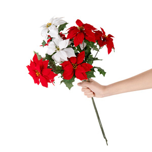 Poinsettia 2024 3 teste di fiori artificiali luminosi rosso flanella <span class=keywords><strong>oro</strong></span> polvere nucleo natale mazzo di Natale di Poinsettia - Product Image 1